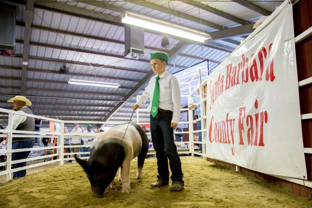 4-H ambassadors take the lead | Braeden Rappozo